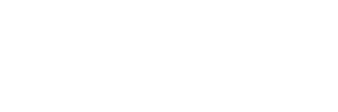 The Elastico logo.